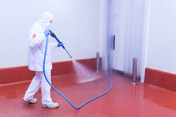 Boat and Dock Cleaning in Dover, FL